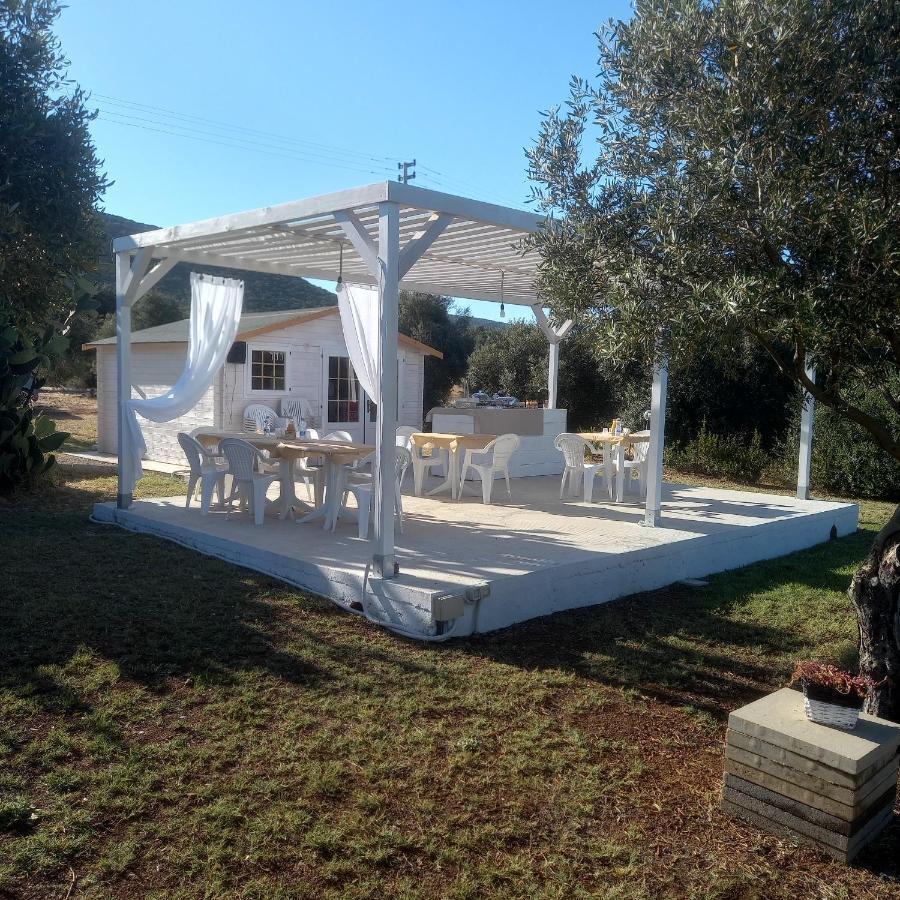 SantʼAnna Arresi B&B Gli Ulivi المظهر الخارجي الصورة
