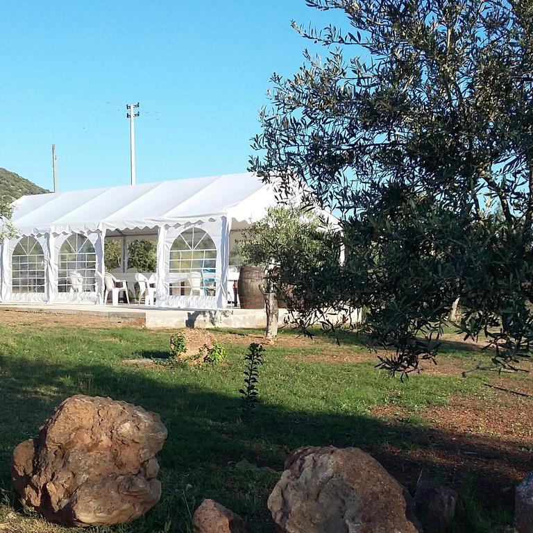 SantʼAnna Arresi B&B Gli Ulivi المظهر الخارجي الصورة